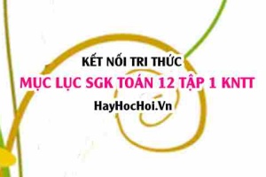 Mục lục SGK Toán 12 tập 1 Kết nối tri thức: Lý thuyết và bài tập Toán 12 Kết nối tri thức
